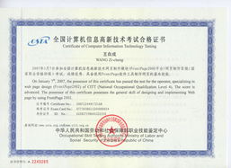 《網站組建與維護精品課 構建穩固、高效的數字門戶》